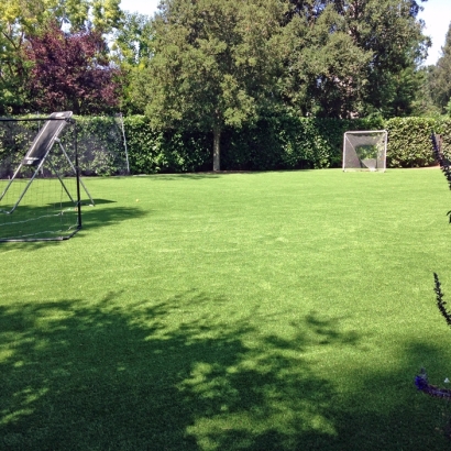 Grass Carpet Aguanga, California Red Turf, Backyards