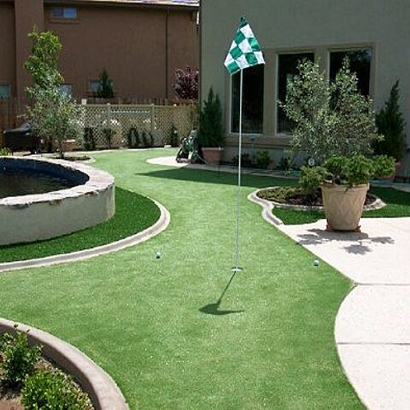 Grass Carpet El Cerrito, California Garden Ideas, Backyard Landscaping