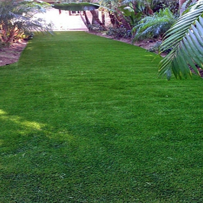 Grass Carpet El Cerrito, California Garden Ideas, Backyard