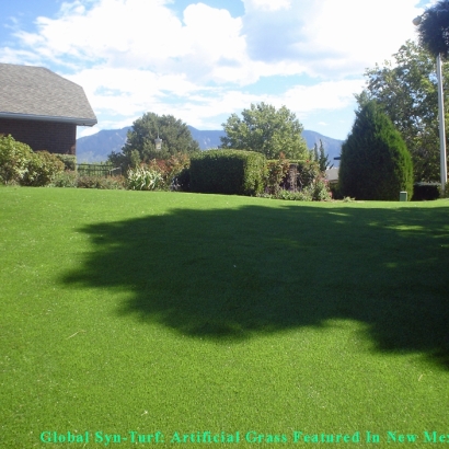 Grass Carpet Glen Avon, California Dog Grass, Backyard Garden Ideas