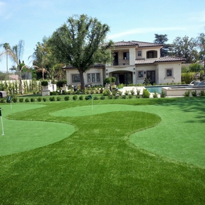 Grass Carpet Nuevo, California Putting Green Carpet, Front Yard Ideas