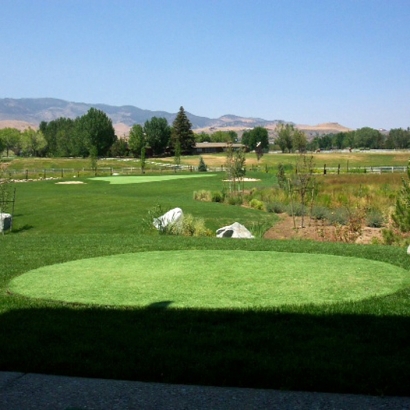 Grass Turf Blythe, California Outdoor Putting Green, Backyard
