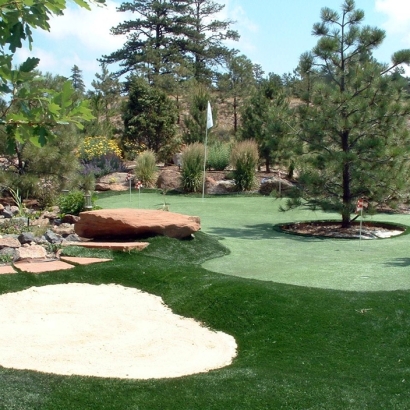 Grass Turf Idyllwild-Pine Cove, California Home Putting Green, Backyard Designs