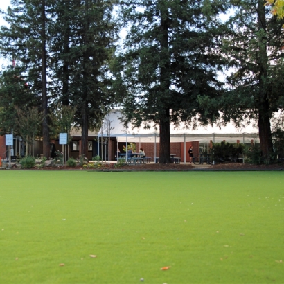 Grass Turf Temecula, California Lawns, Parks