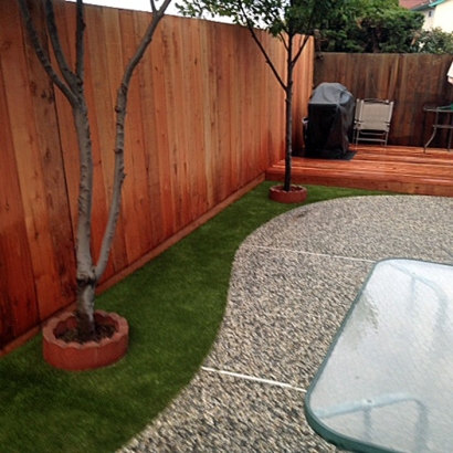 Green Lawn Woodcrest, California Artificial Grass For Dogs, Backyard Landscaping Ideas