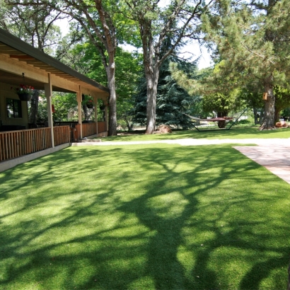 How To Install Artificial Grass Idyllwild-Pine Cove, California Dog Run, Backyard Garden Ideas