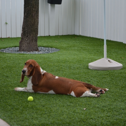 How To Install Artificial Grass Nuevo, California Pet Grass, Dogs Runs