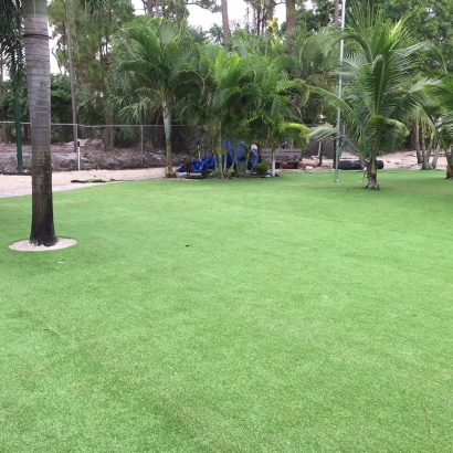 How To Install Artificial Grass Sedco Hills, California Gardeners, Commercial Landscape