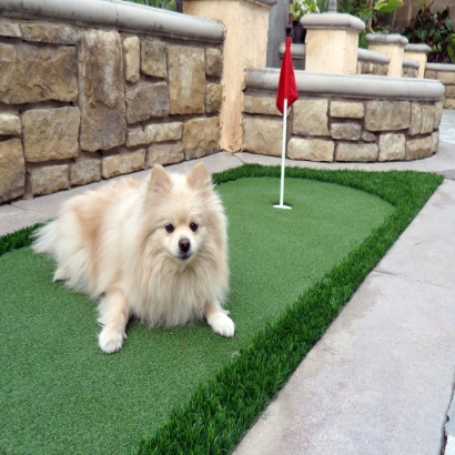 Installing Artificial Grass Nuevo, California Artificial Turf For Dogs, Dog Kennels