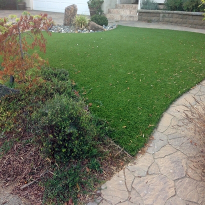 Lawn Services Desert Hot Springs, California Cat Grass, Backyard Design