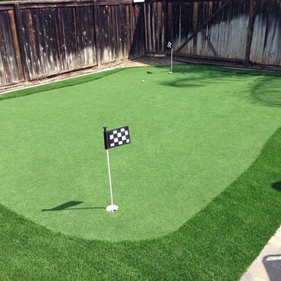 Lawn Services Ripley, California Artificial Putting Greens, Backyard