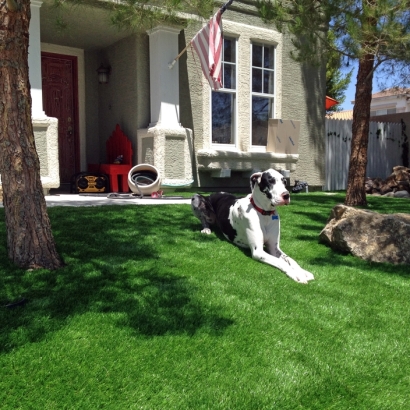 Lawn Services Valle Vista, California Landscaping Business, Dogs Runs