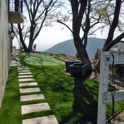 Outdoor Carpet Mortmar, California Artificial Putting Greens, Backyard Landscaping