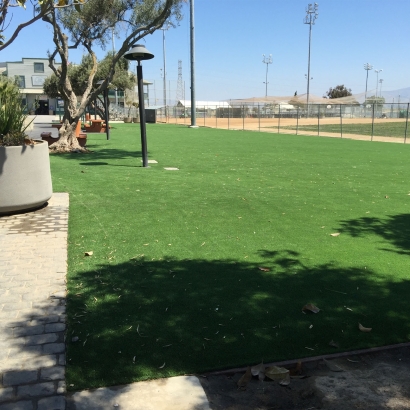 Plastic Grass Beaumont, California Landscape Ideas, Commercial Landscape