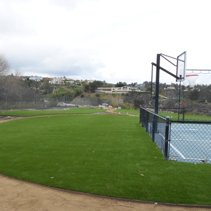 Plastic Grass Green Acres, California Gardeners, Commercial Landscape