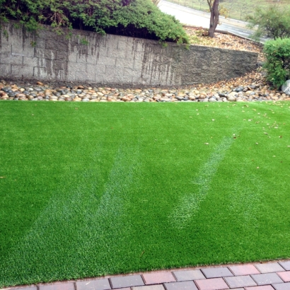 Plastic Grass Home Gardens, California Lawns, Backyard Design