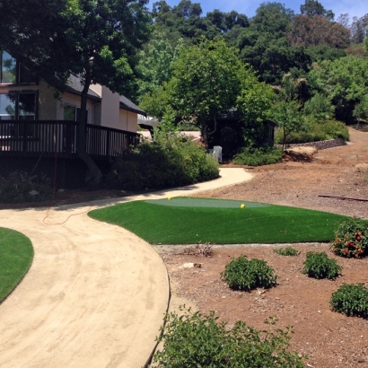 Plastic Grass Rubidoux, California Putting Green Carpet, Small Front Yard Landscaping