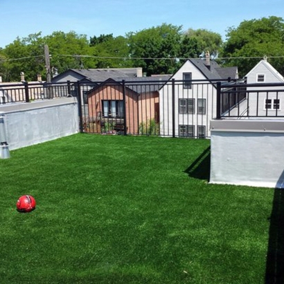 Plastic Grass Thousand Palms, California Garden Ideas, Roof Top