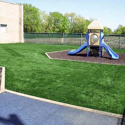 Synthetic Grass Cost Lakeview, California Landscape Ideas, Commercial Landscape
