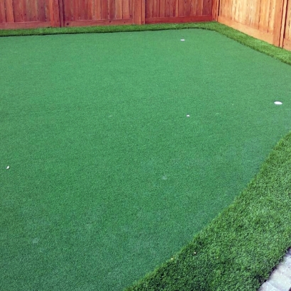 Synthetic Grass Romoland, California Lawn And Garden, Backyard Garden Ideas