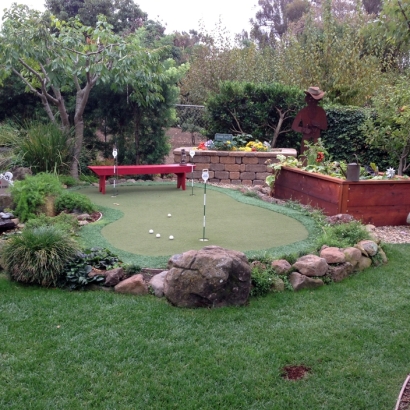 Synthetic Grass Sunnyslope, California Landscape Photos, Backyard Ideas