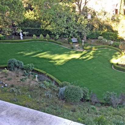 Synthetic Lawn Indio, California Lawns, Backyard