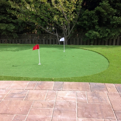 Synthetic Lawn Lake Elsinore, California Putting Green Grass, Backyard Landscaping