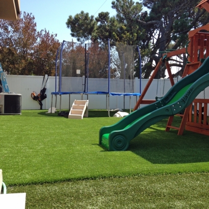 Synthetic Lawn Palm Springs, California Backyard Playground, Backyard Landscape Ideas