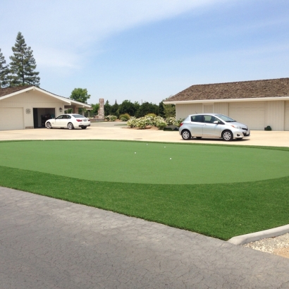 Synthetic Lawn Temecula, California Lawns, Front Yard