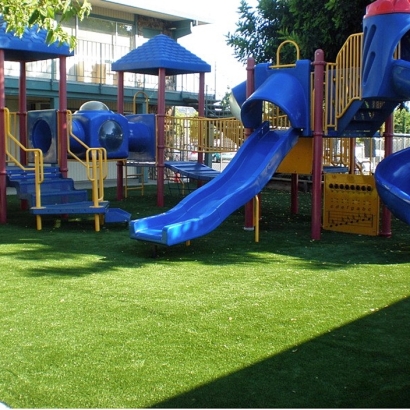 Synthetic Lawn Winchester, California Playground Turf, Commercial Landscape