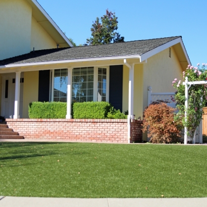 Synthetic Turf Homeland, California Lawn And Garden, Front Yard Design
