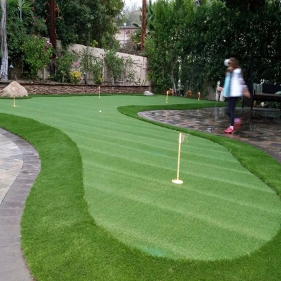 Synthetic Turf Lakeland Village, California Diy Putting Green, Backyard Ideas