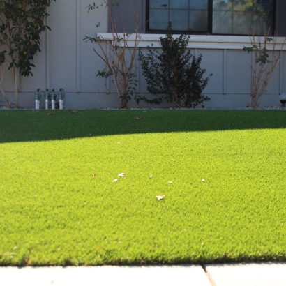 Synthetic Turf Oasis, California Landscaping Business, Front Yard Landscape Ideas