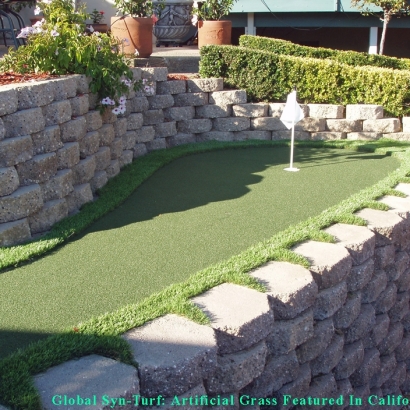 Synthetic Turf Pedley, California Paver Patio, Beautiful Backyards