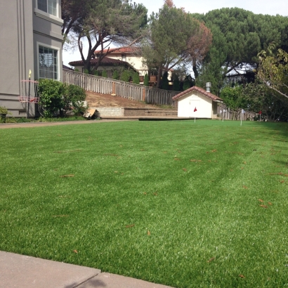 Synthetic Turf Ripley, California Backyard Putting Green, Backyard Landscaping Ideas