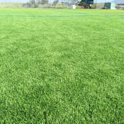 Synthetic Turf Supplier Aguanga, California Landscaping Business