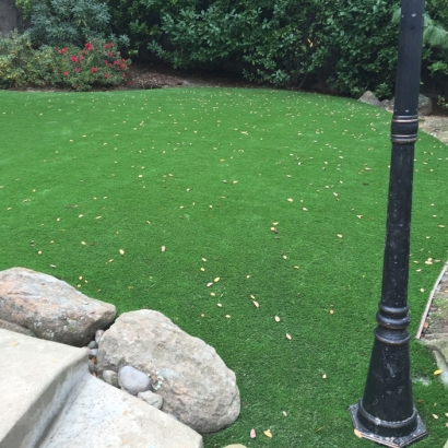 Synthetic Turf Supplier Cathedral City, California Design Ideas, Backyards
