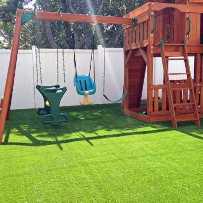 Synthetic Turf Supplier Murrieta Hot Springs, California Playground Turf, Backyard Landscaping Ideas