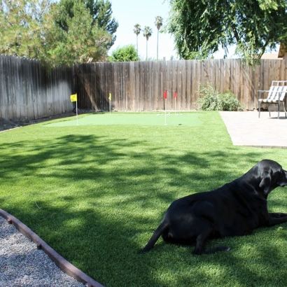 Turf Grass Garnet, California Backyard Playground, Backyard Design