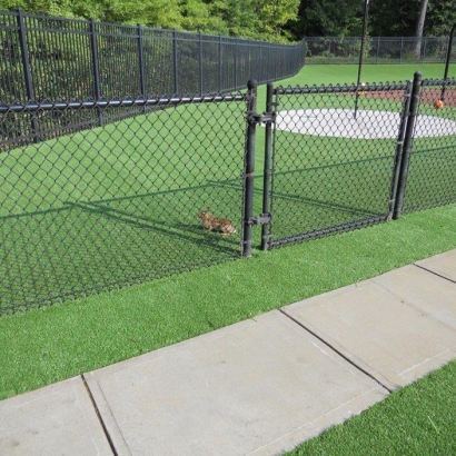 Turf Grass Indian Wells, California Lacrosse Playground, Recreational Areas