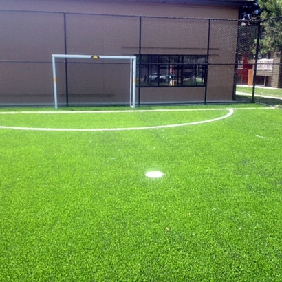 Turf Grass Indio, California Stadium