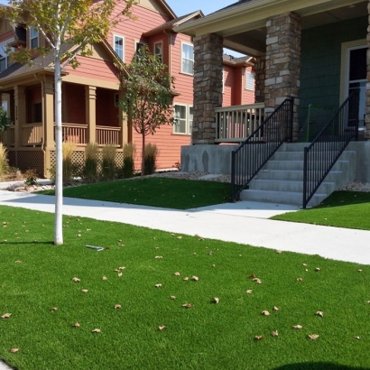 Turf Grass Lakeview, California Landscape Ideas, Landscaping Ideas For Front Yard
