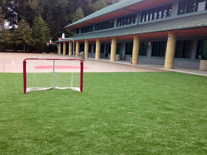 Artificial Grass Aguanga, California Softball, Commercial Landscape