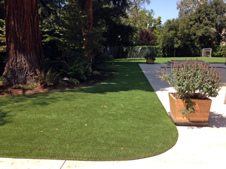 Artificial Grass Carpet Banning, California Landscape Design, Front Yard Landscape Ideas