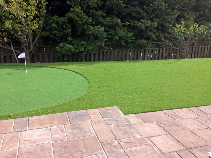 Artificial Grass Carpet Cathedral City, California Putting Green Flags, Backyard