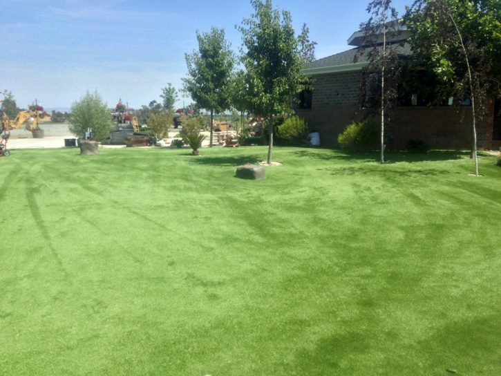 Artificial Grass Carpet La Quinta, California Home And Garden, Recreational Areas