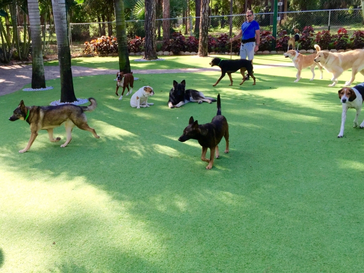 Artificial Grass Carpet Murrieta Hot Springs, California Dog Run, Dog Kennels