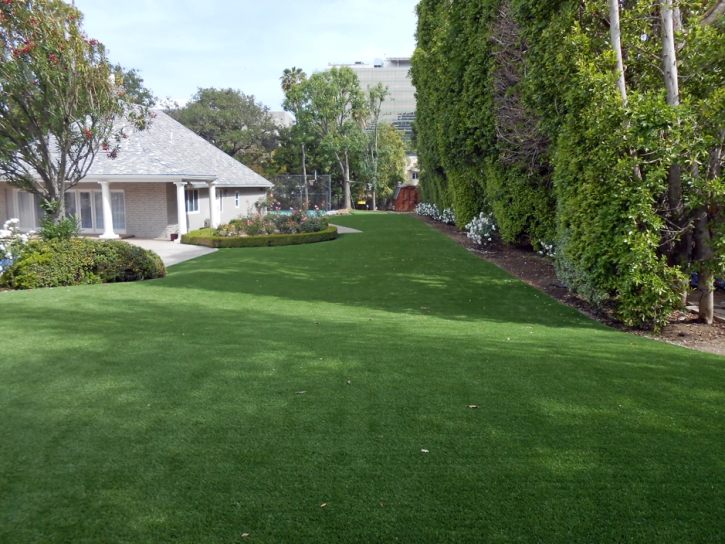 Artificial Grass Installation East Hemet, California Landscape Design, Front Yard Landscape Ideas