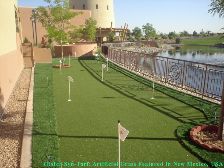 Artificial Grass Installation Norco, California Design Ideas, Backyard Designs