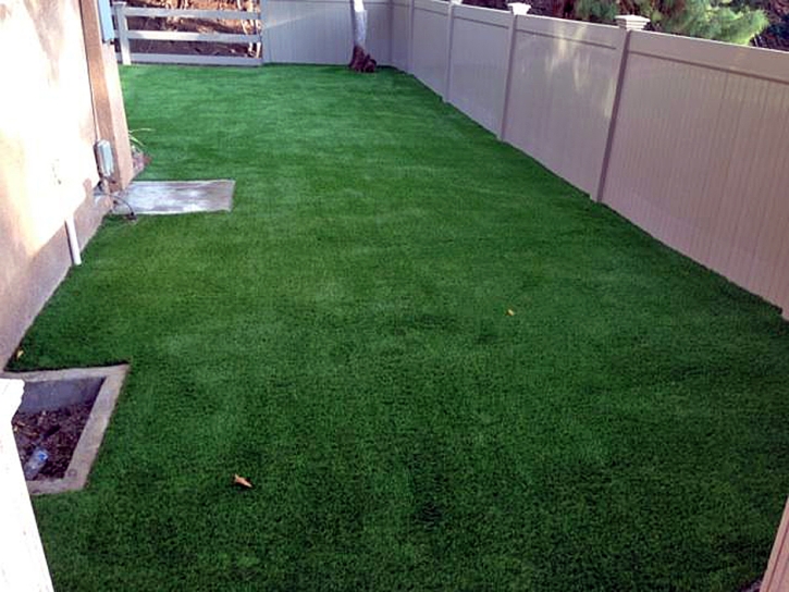 Artificial Grass Mecca, California Landscaping Business, Backyard Landscaping Ideas